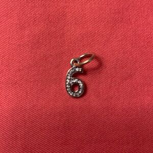 Pandora Charm Bracelet Number 6